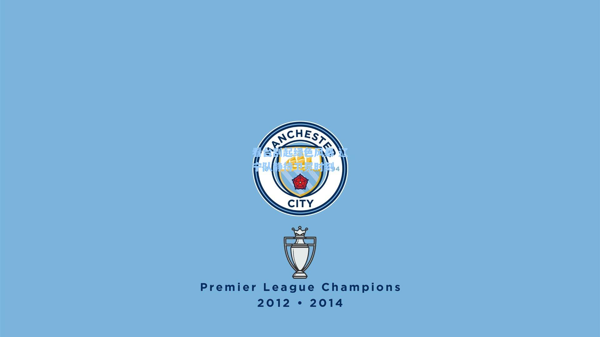 看台刮起绿色风暴 辽宁队静待卫冕时刻